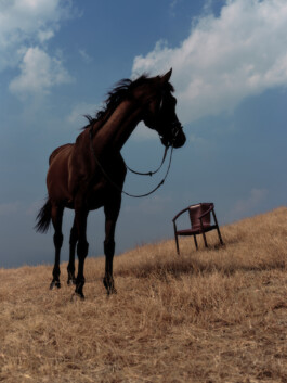 pascal-hien-office-for-design