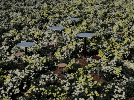 pascal-hien-office-for-design