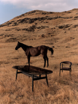 pascal-hien-office-for-design